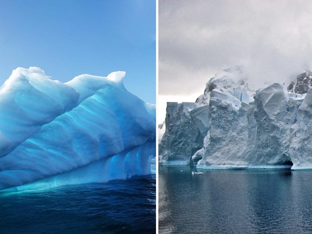 Arctique/Antarctique 5 différences pour ne plus les confondre — free download